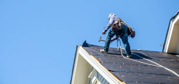 Best Storm Damage Roof Repair  in Greeley, CO